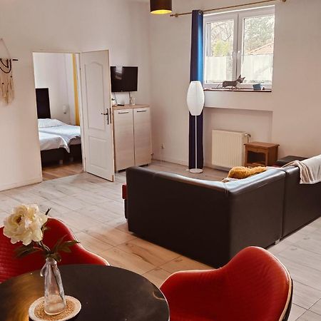 Studio Red Kot Zielona Góra Exteriör bild