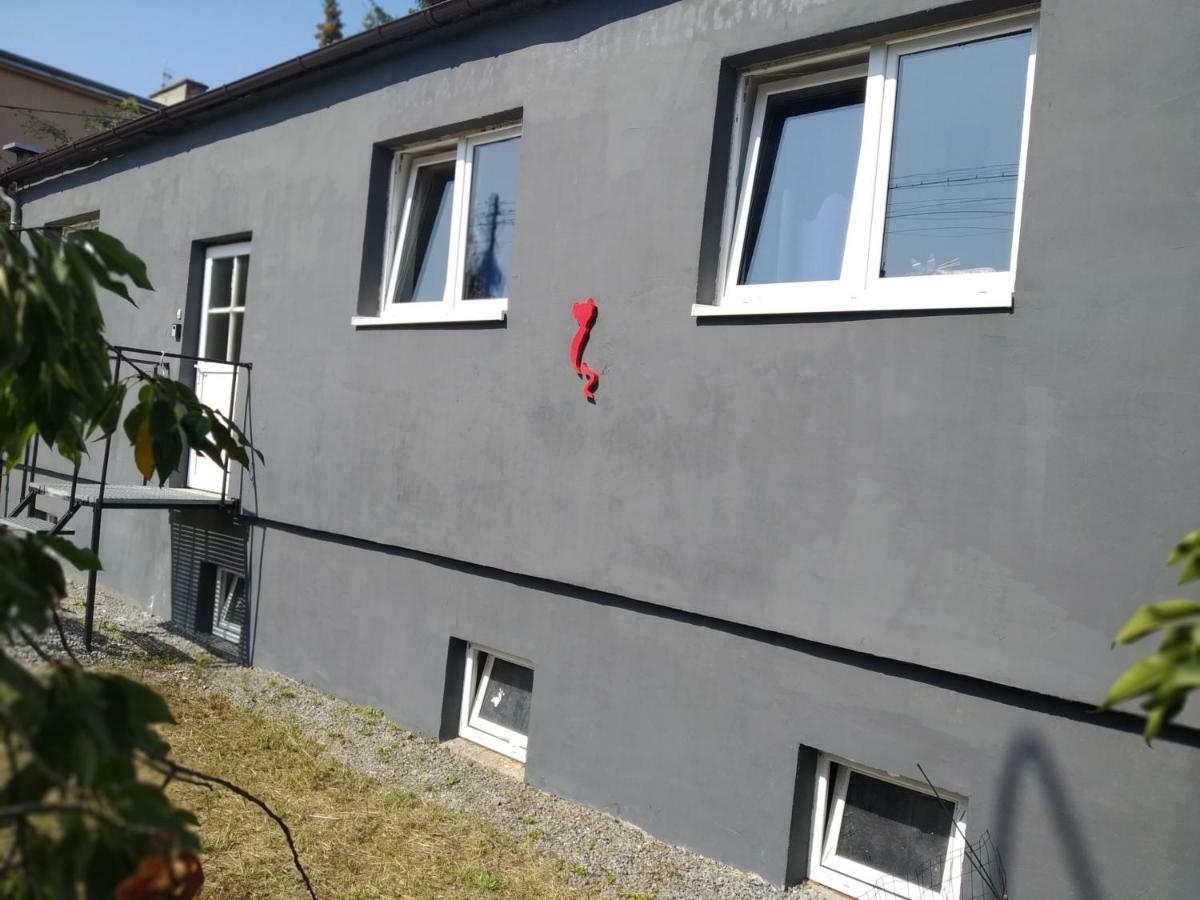 Studio Red Kot Zielona Góra Exteriör bild